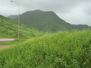 Wadi Sahalnoot Salalah