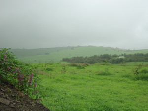 Sahalnoot Salalah