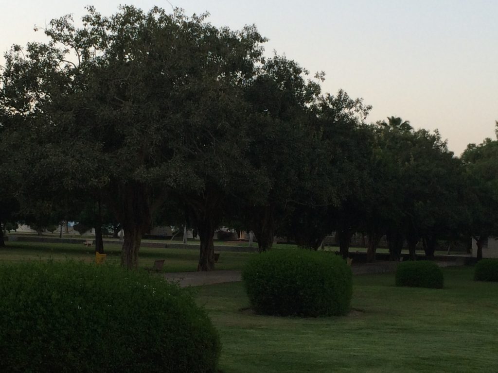 Salalah Public Park